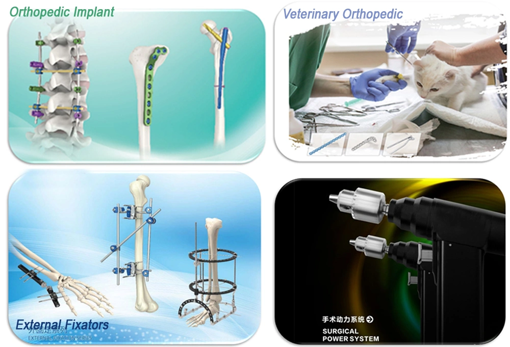 Veterinary Instruments Sterilization Box Dental Instrument