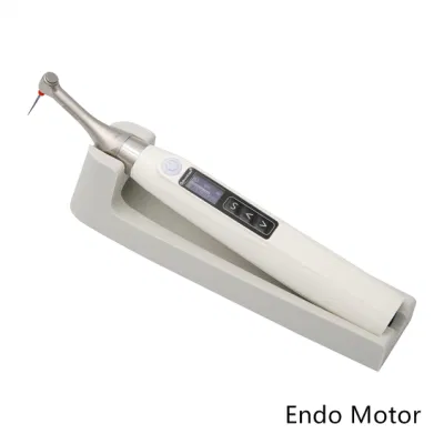 CE and ISO Approval 2 In1 Function for Preparation and Length Measuring Smart Endo Motor with bluetooth